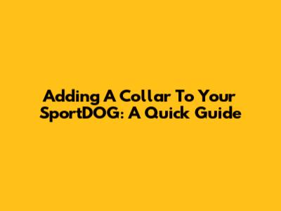 Adding A Collar To Your SportDOG: A Quick Guide