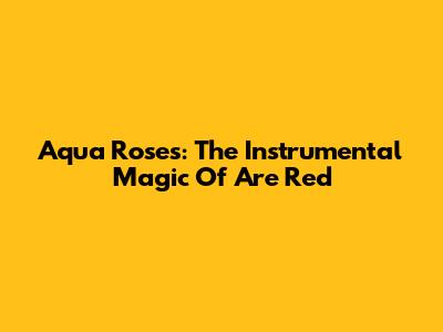 Aqua Roses: The Instrumental Magic Of 'Are Red'