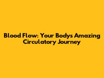 Blood Flow: Your Body's Amazing Circulatory Journey
