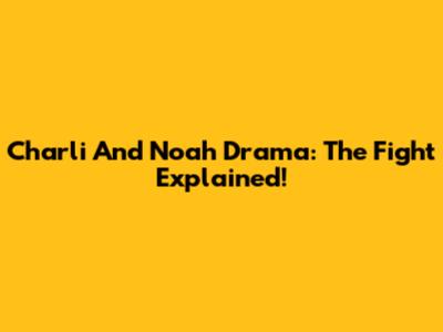 Charli And Noah Drama: The Fight Explained!
