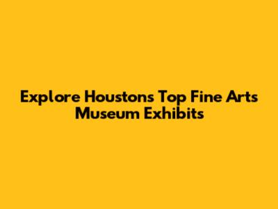 Explore Houston's Top Fine Arts Museum Exhibits