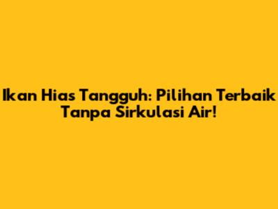 Ikan Hias Tangguh: Pilihan Terbaik Tanpa Sirkulasi Air!