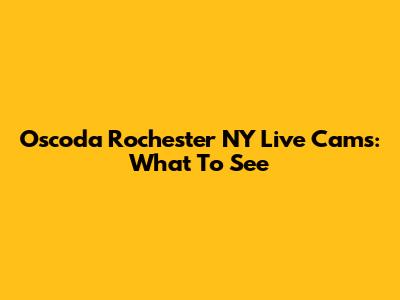 Oscoda Rochester NY Live Cams: What To See