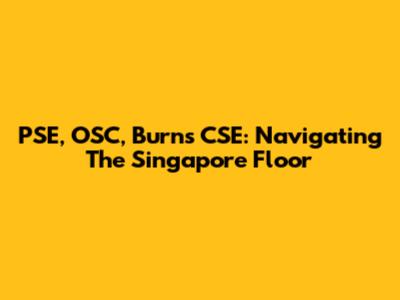 PSE, OSC, Burns CSE: Navigating The Singapore Floor