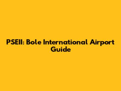 PSEII: Bole International Airport Guide