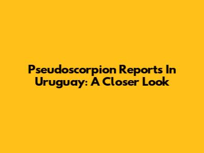 Pseudoscorpion Reports In Uruguay: A Closer Look