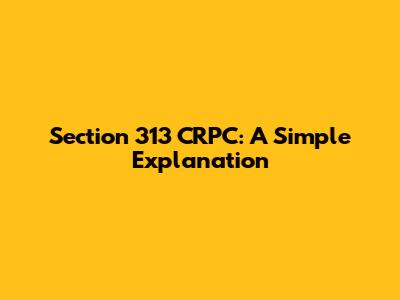 Section 313 CRPC: A Simple Explanation