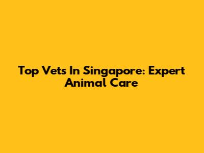 Top Vets In Singapore: Expert Animal Care